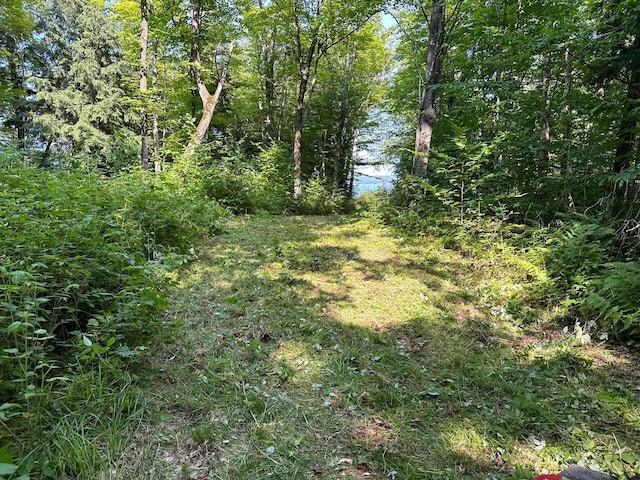TBD Reindeer Run, Munising, MI 49862
