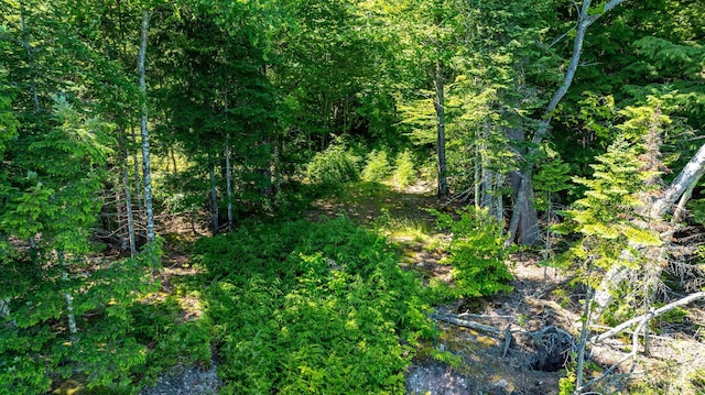 TBD Reindeer Run, Munising, MI 49862