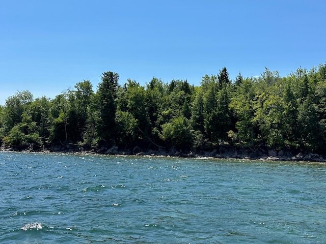 TBD Reindeer Run, Munising, MI 49862