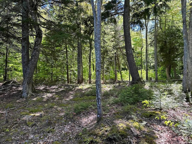 TBD Reindeer Run, Munising, MI 49862