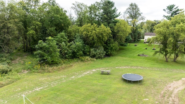 view of yard with a trampoline