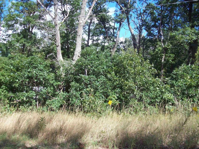 Listing photo 3 for LOT137 Maryland St, Harrison MI 48625