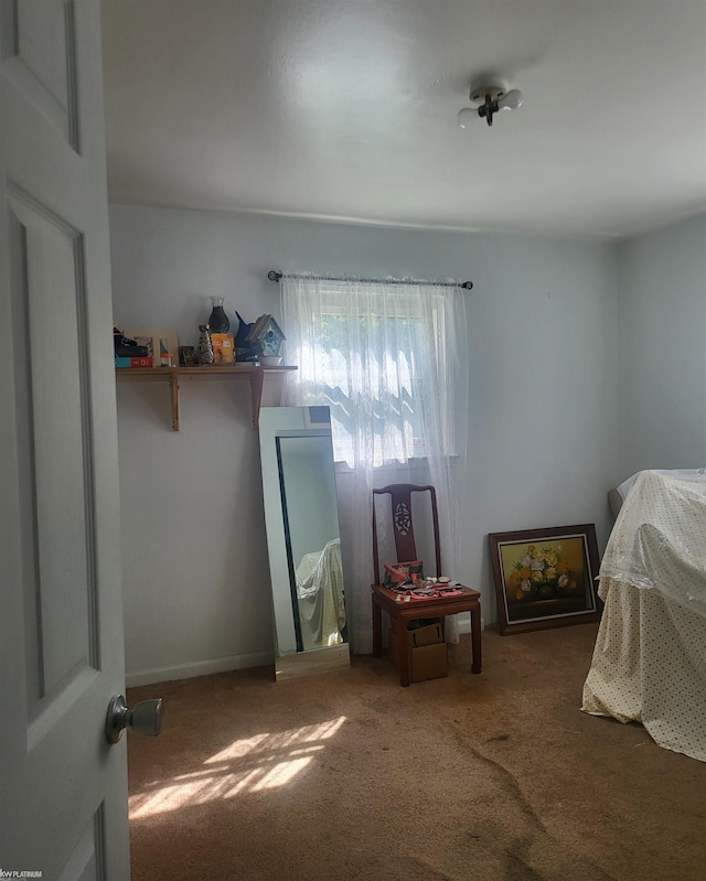 bedroom with carpet floors