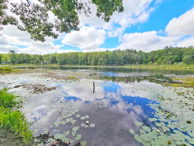 property view of water