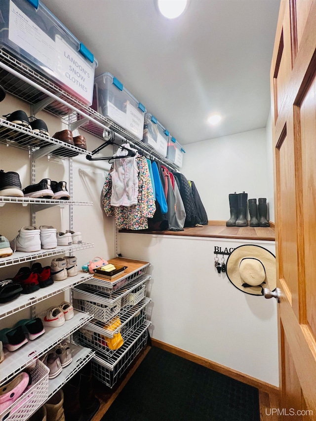 view of spacious closet