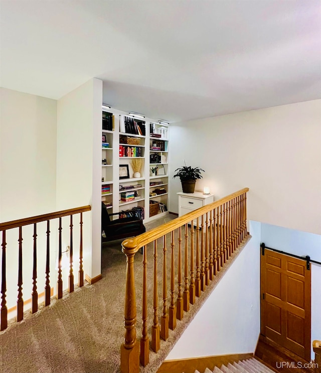 stairway with carpet flooring