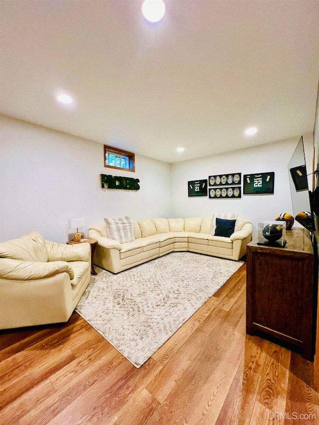 living room with hardwood / wood-style flooring