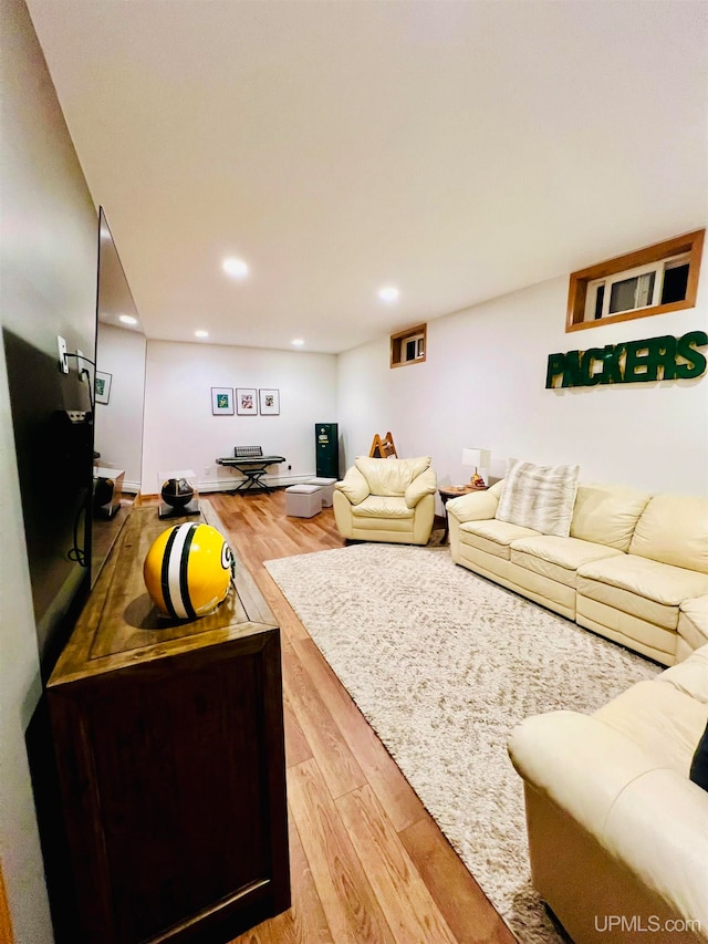 living room featuring wood-type flooring