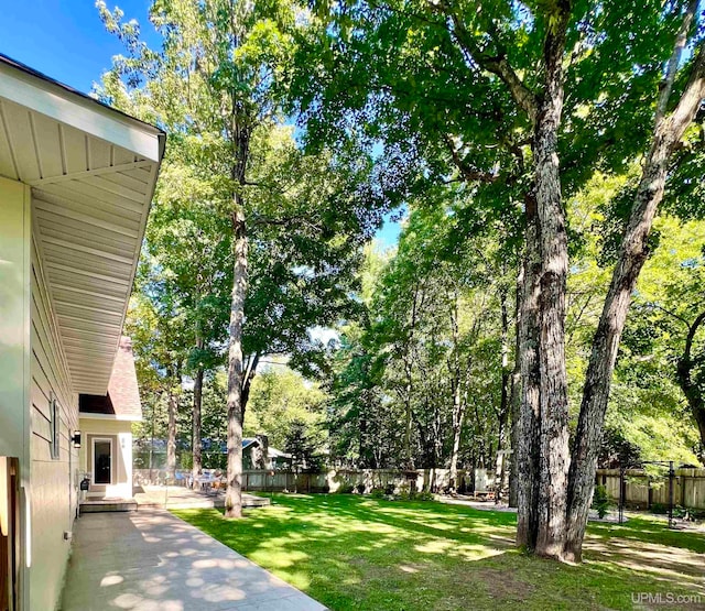 view of yard with a patio area