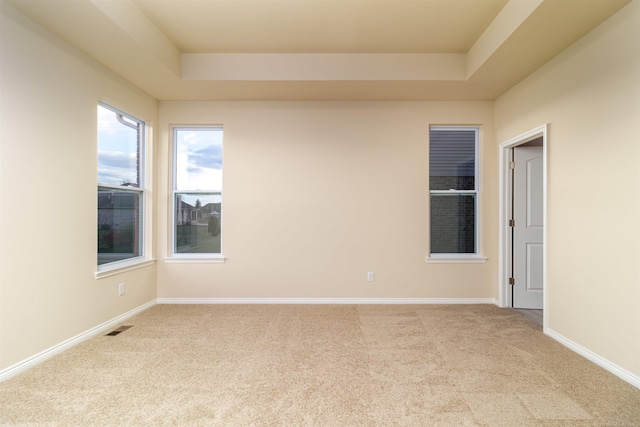 carpeted spare room featuring a raised ceiling