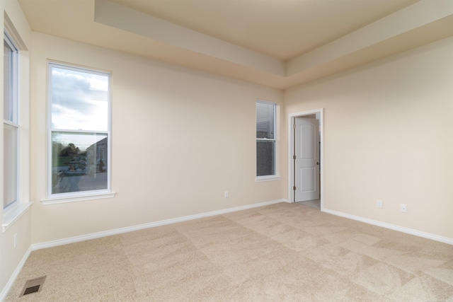 unfurnished room featuring light colored carpet and a raised ceiling