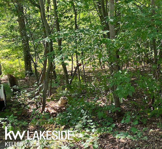 0 Marys Rd, Caseville MI, 48725 land for sale