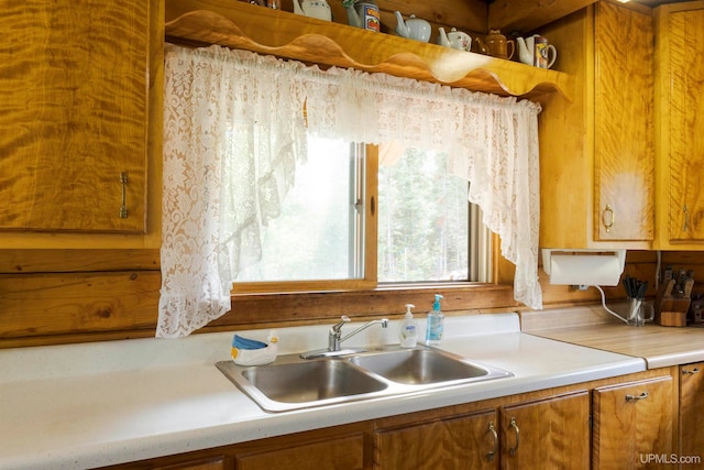 kitchen featuring sink