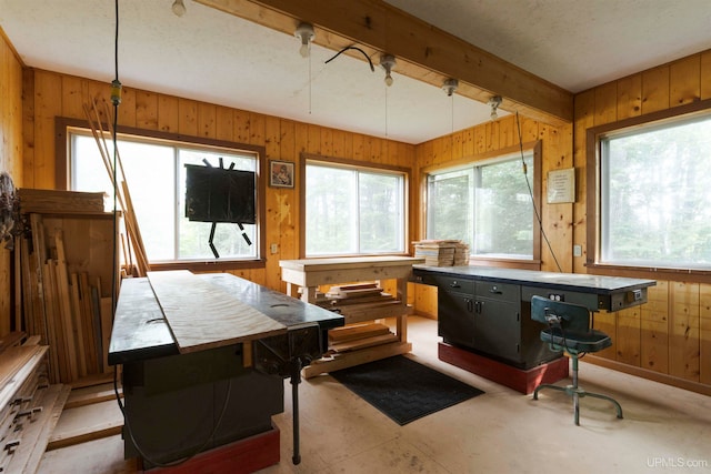 misc room with plenty of natural light, wood walls, and beamed ceiling