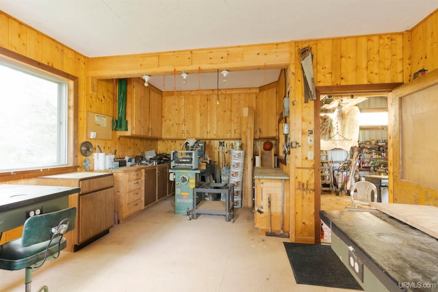 kitchen featuring wooden walls