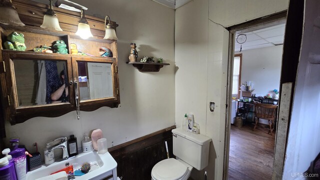 bathroom with toilet and wood-type flooring