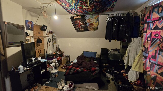 bedroom featuring lofted ceiling