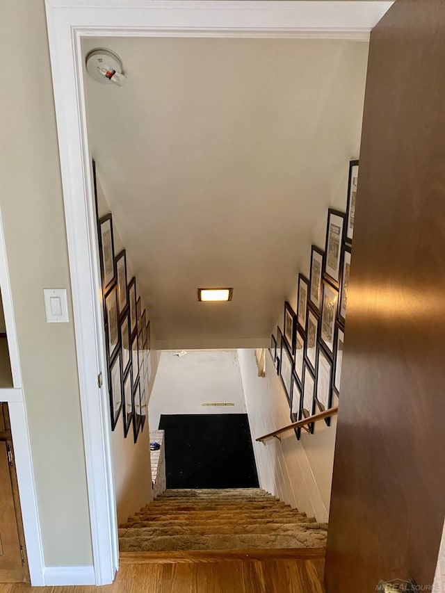 stairway featuring hardwood / wood-style flooring