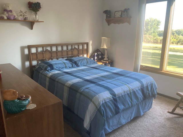 carpeted bedroom with multiple windows