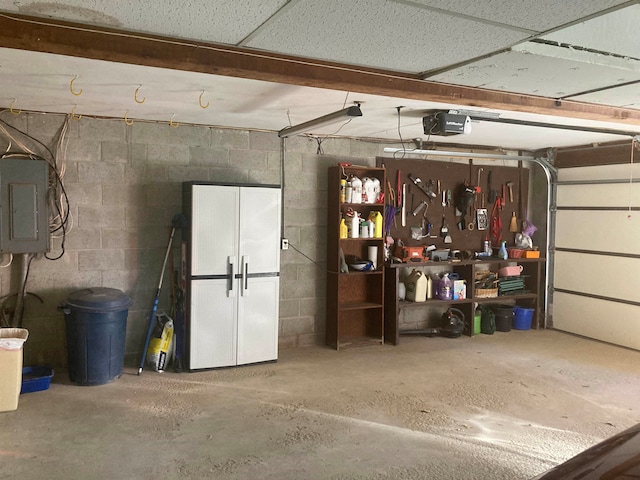 garage featuring a garage door opener and electric panel