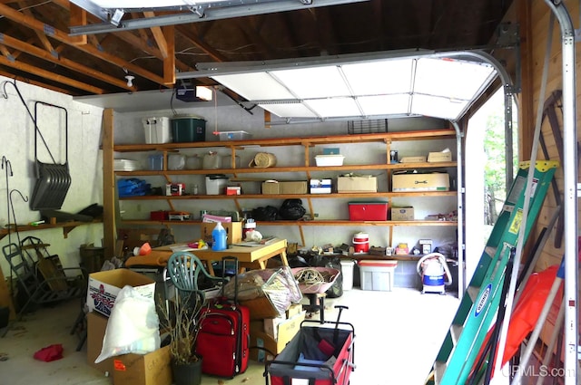 storage featuring a garage