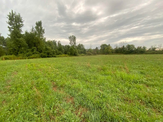 Listing photo 2 for TBD Rynn Road, Avoca MI 48006