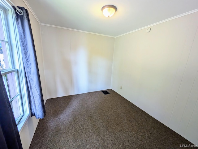 spare room with crown molding and carpet floors