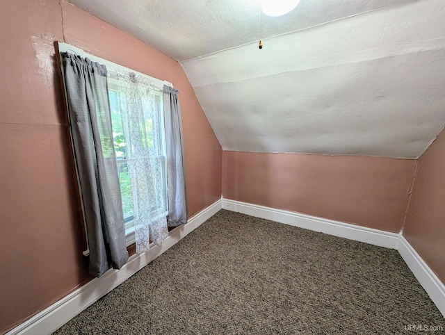 additional living space with vaulted ceiling, a textured ceiling, and carpet floors