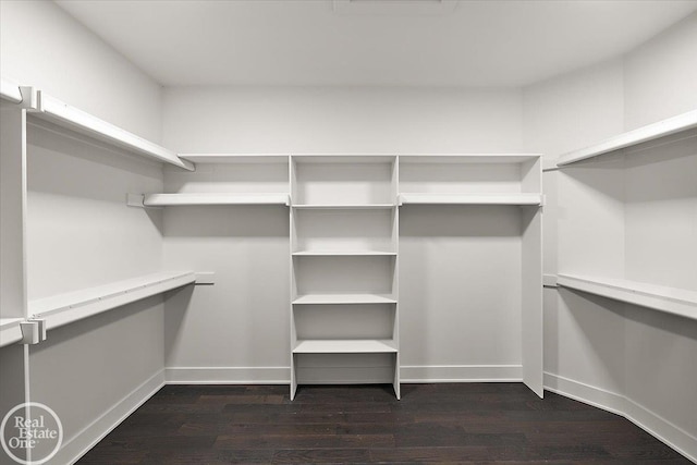 walk in closet with dark wood-style flooring