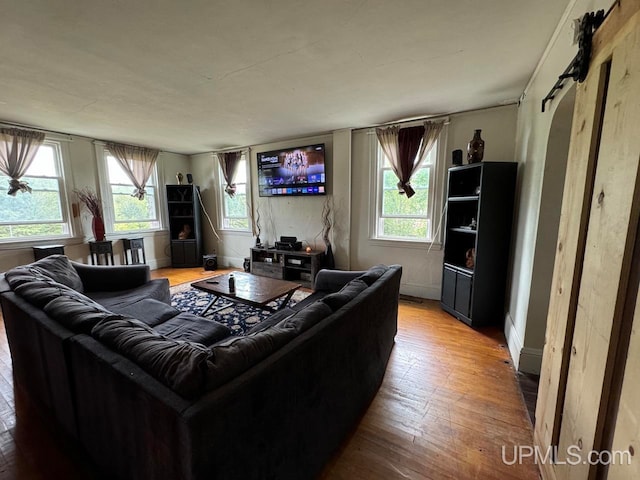 living room with wood-type flooring and a wealth of natural light