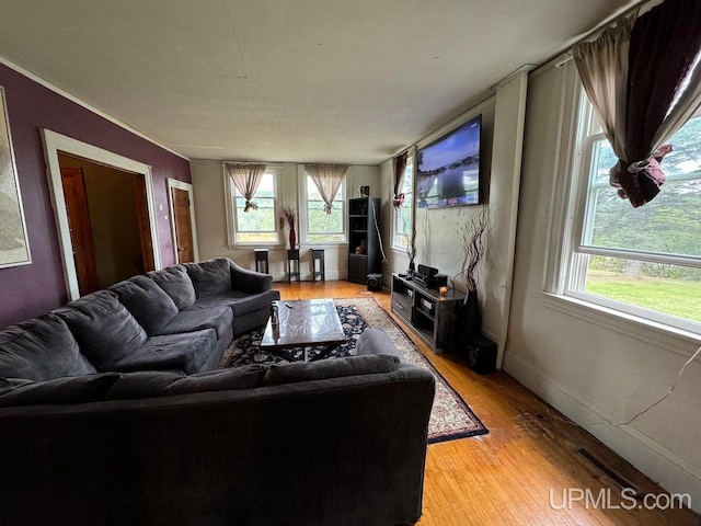 living room with a healthy amount of sunlight and wood-type flooring