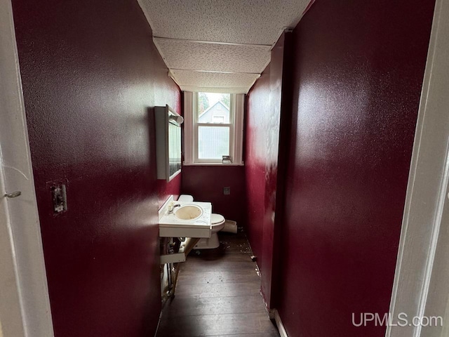 hallway featuring dark wood-type flooring