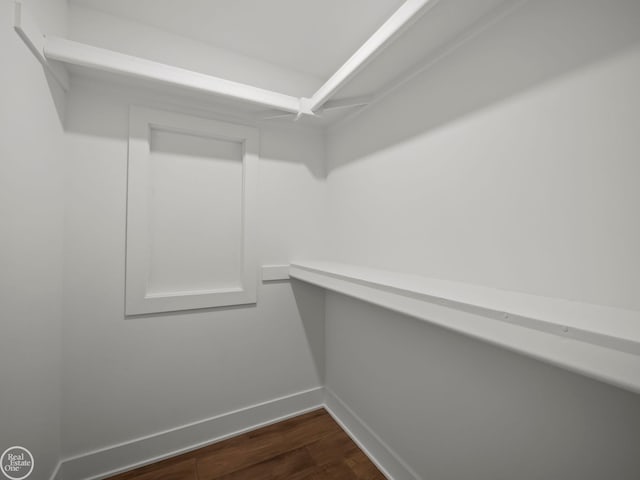 spacious closet featuring dark hardwood / wood-style flooring