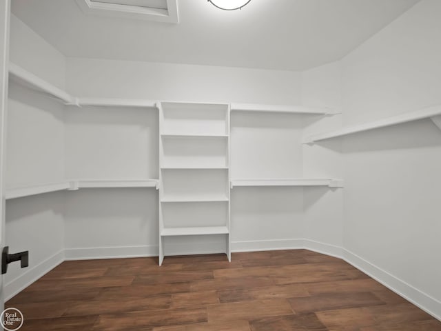 walk in closet with dark hardwood / wood-style floors