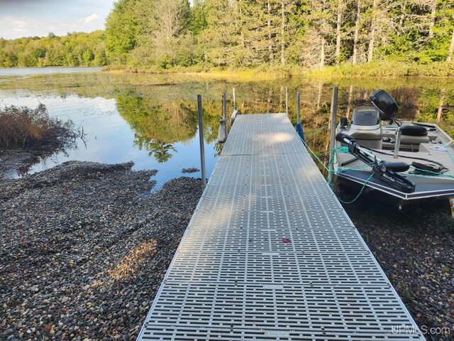 dock area featuring a water view