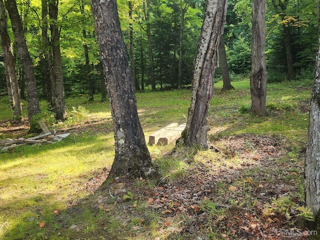 view of landscape