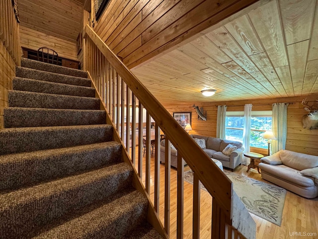 stairs featuring wood ceiling, wood walls, and wood-type flooring