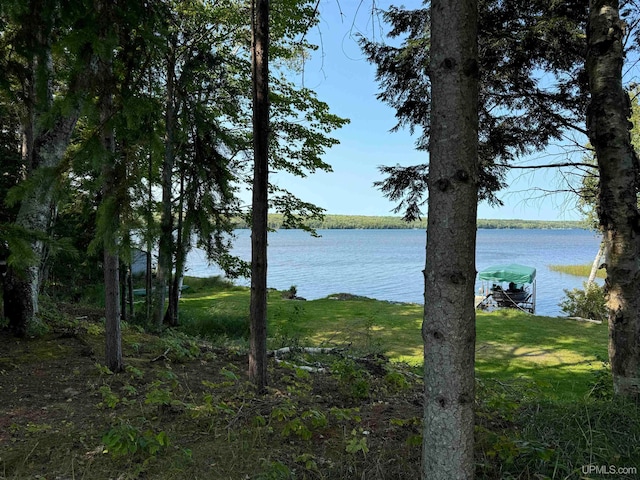 view of water feature