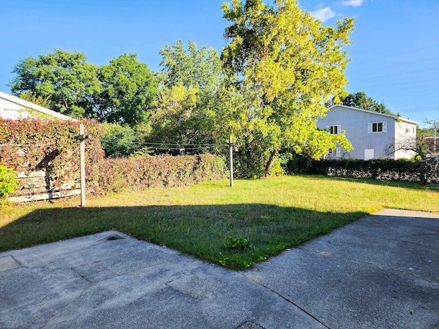 295 W Birch St, Harrison, MI 48625 - view of green lawn featuring a patio
