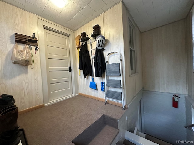 interior space with wood walls and carpet flooring