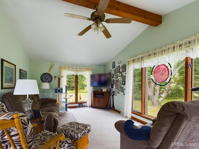 carpeted living room featuring lofted ceiling with beams, plenty of natural light, and ceiling fan