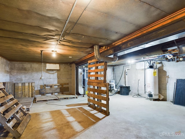 basement featuring gas water heater