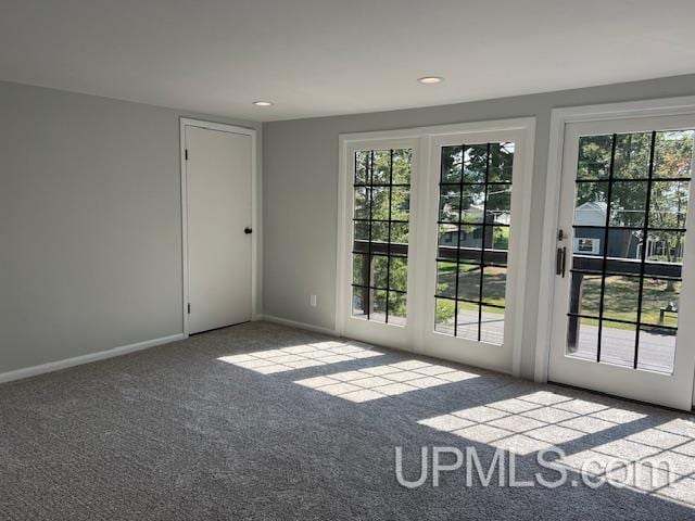 doorway featuring carpet and plenty of natural light