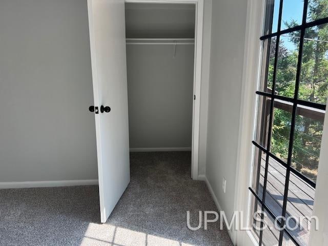 view of closet