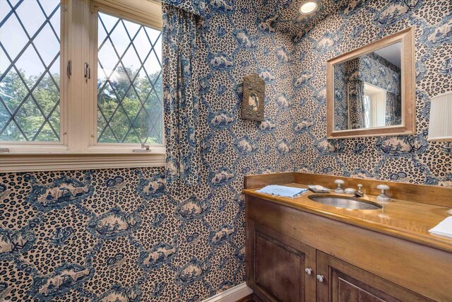 bathroom featuring vanity and plenty of natural light