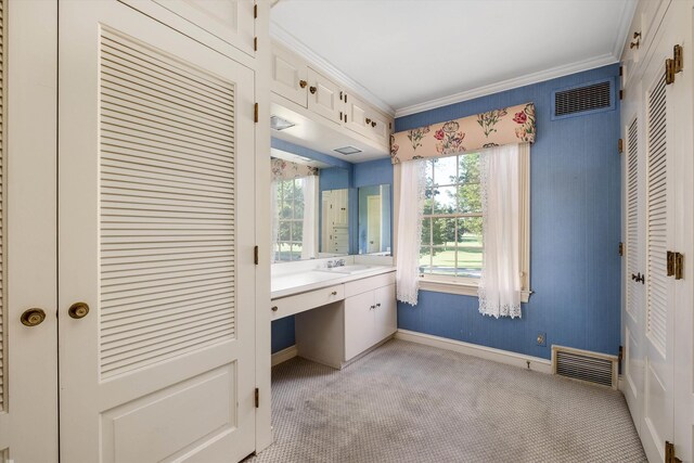 bathroom featuring vanity and ornamental molding