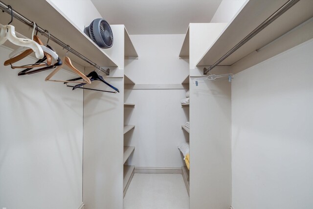 view of walk in closet