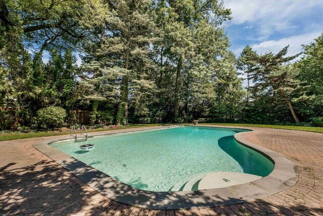 view of swimming pool