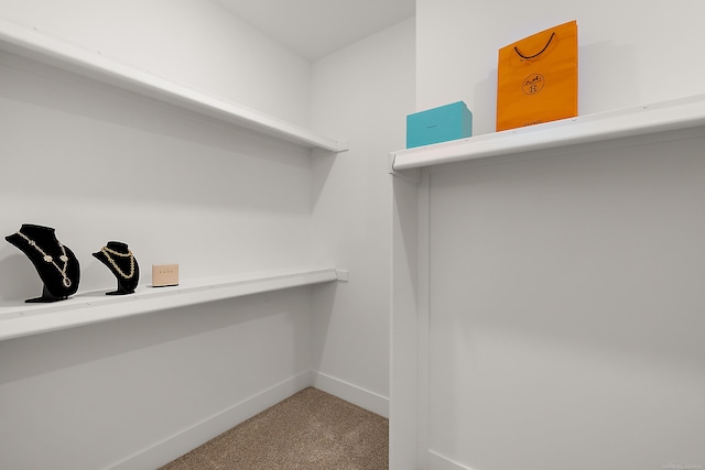 walk in closet with light colored carpet