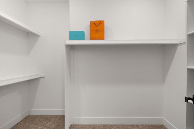 spacious closet with carpet floors